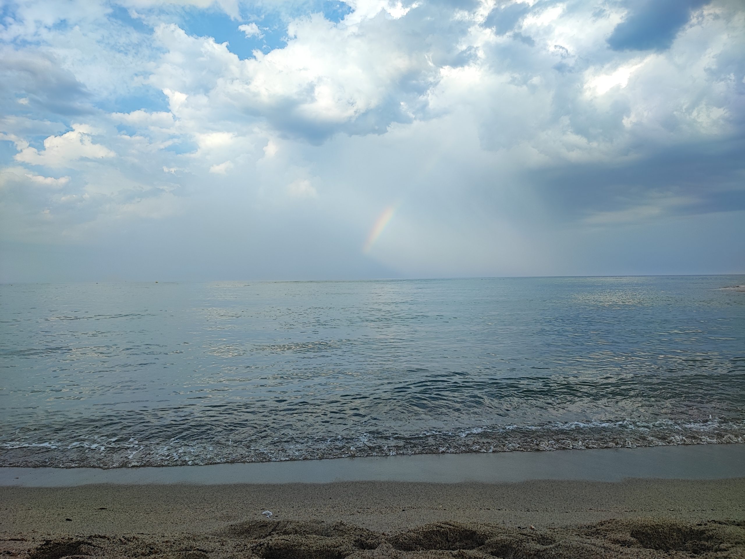 L&rsquo;intelligence naturelle