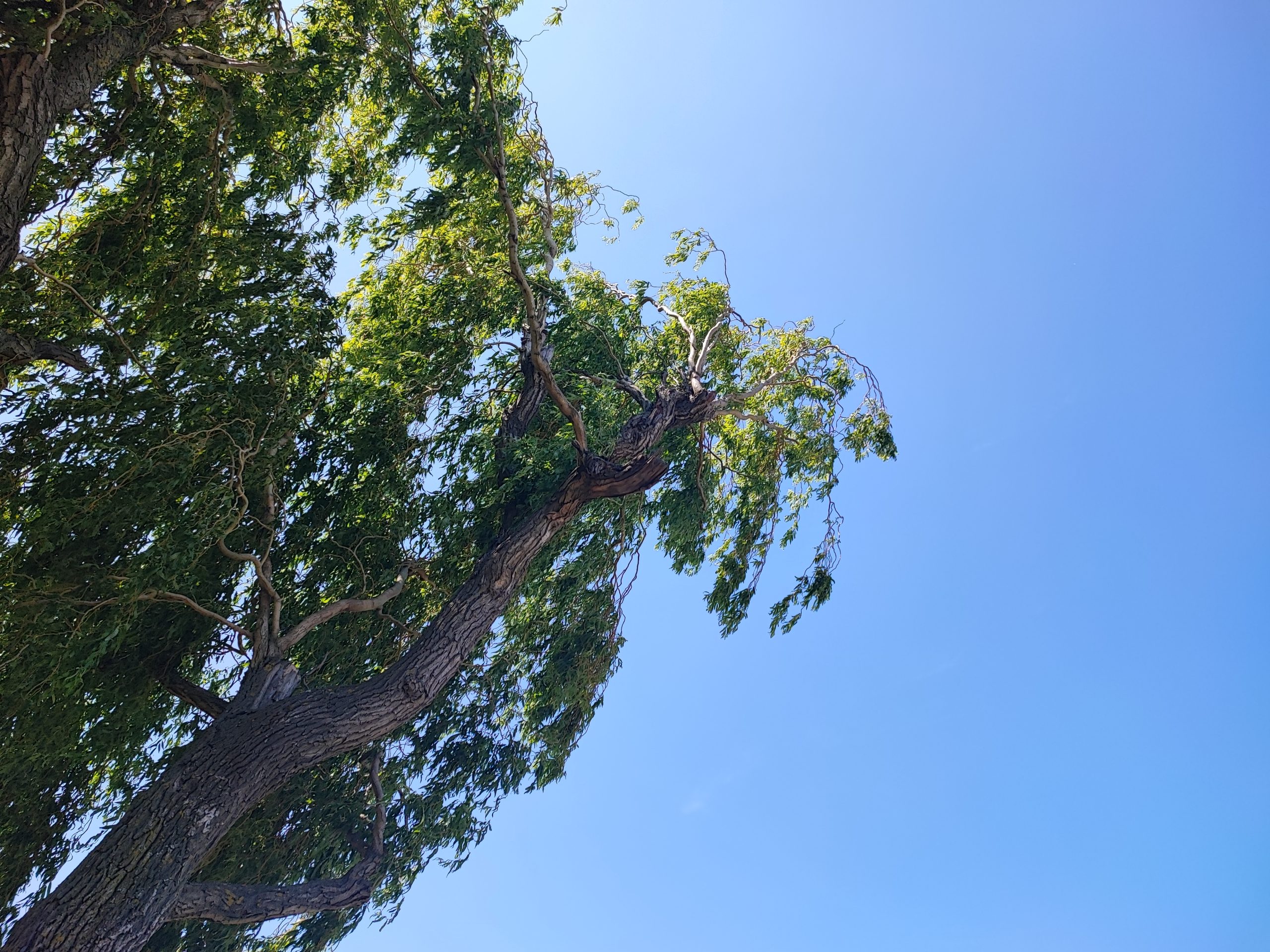 Les mots n&rsquo;ont pas d&rsquo;importance