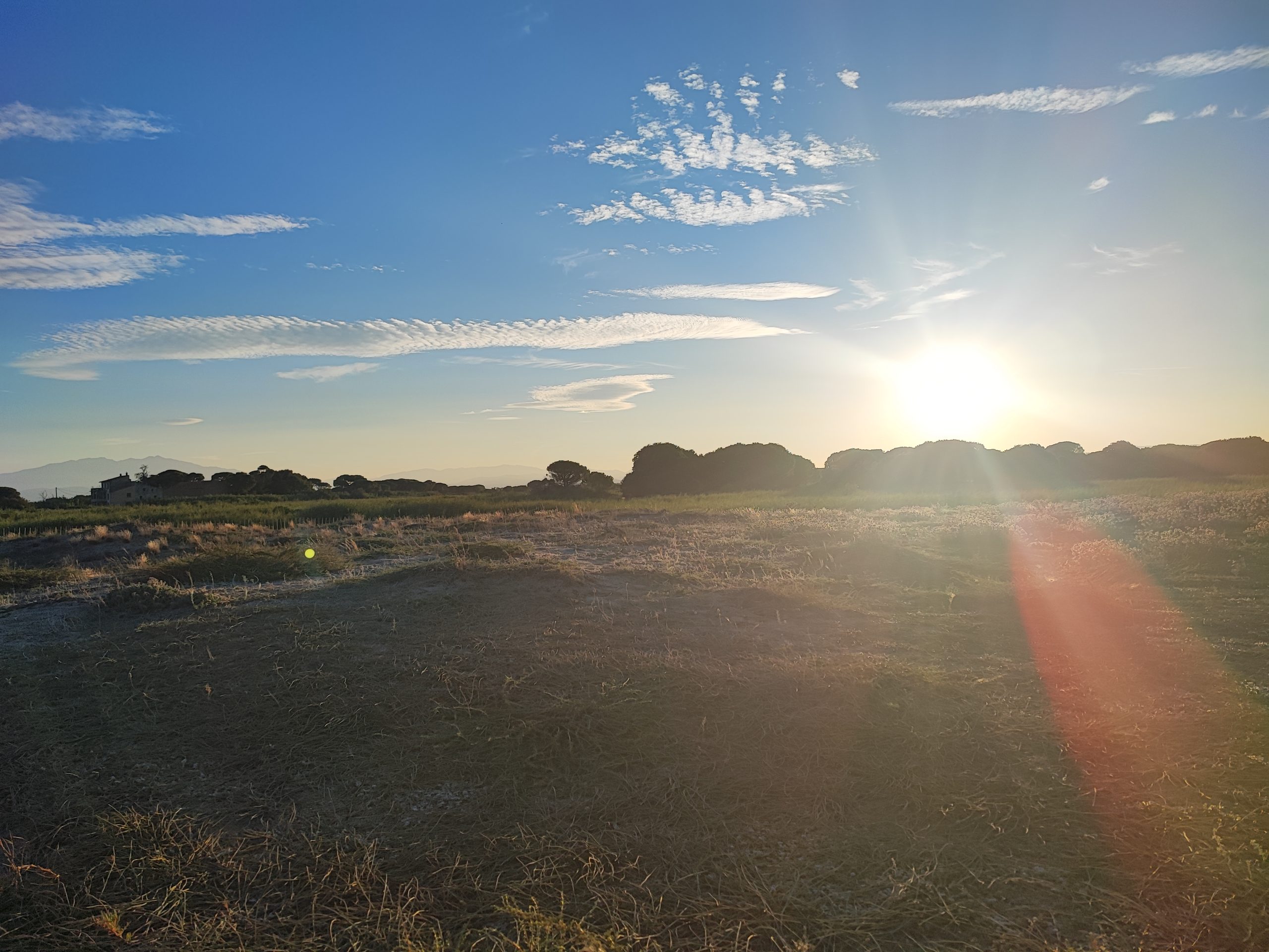 La Nature Essentielle