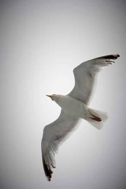 Les émotions sont à regarder